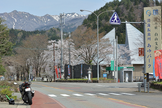 ４月だけど初詣