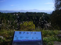 03.jpg