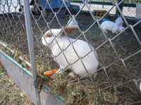 08.jpg