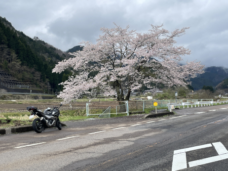 ２０２５年、古手神社への初詣