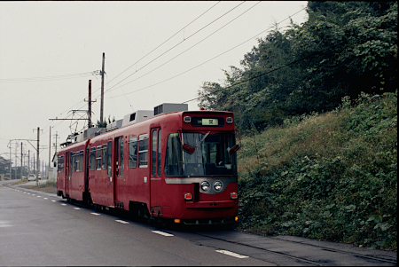 20250220-14.jpg