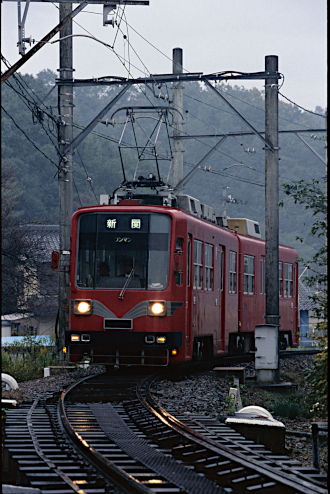 20250220-16.jpg